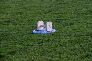 Richtungsapport mit Target