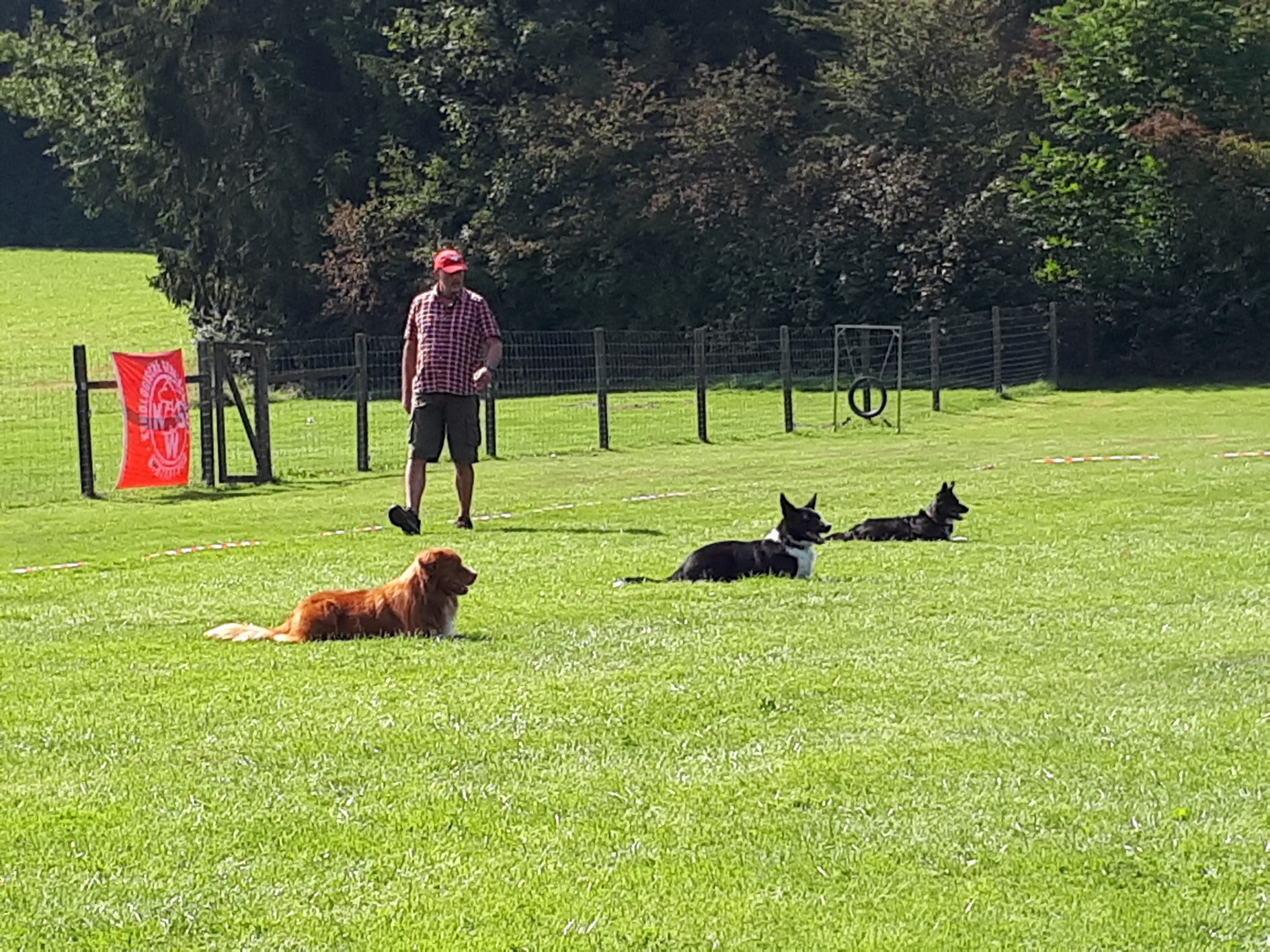 Remo Lanaro als Steward.