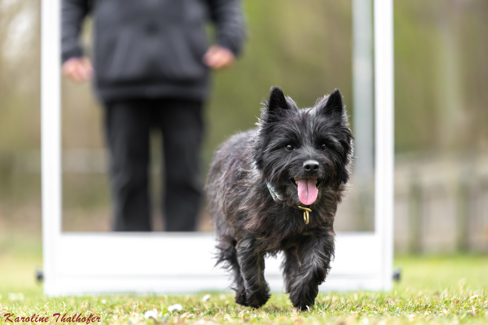 Bringen über eine Hürde