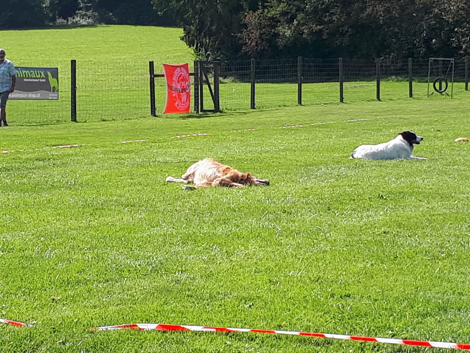 Es war sehr heiss...