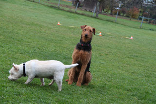 Ablenkungen sind wichtig