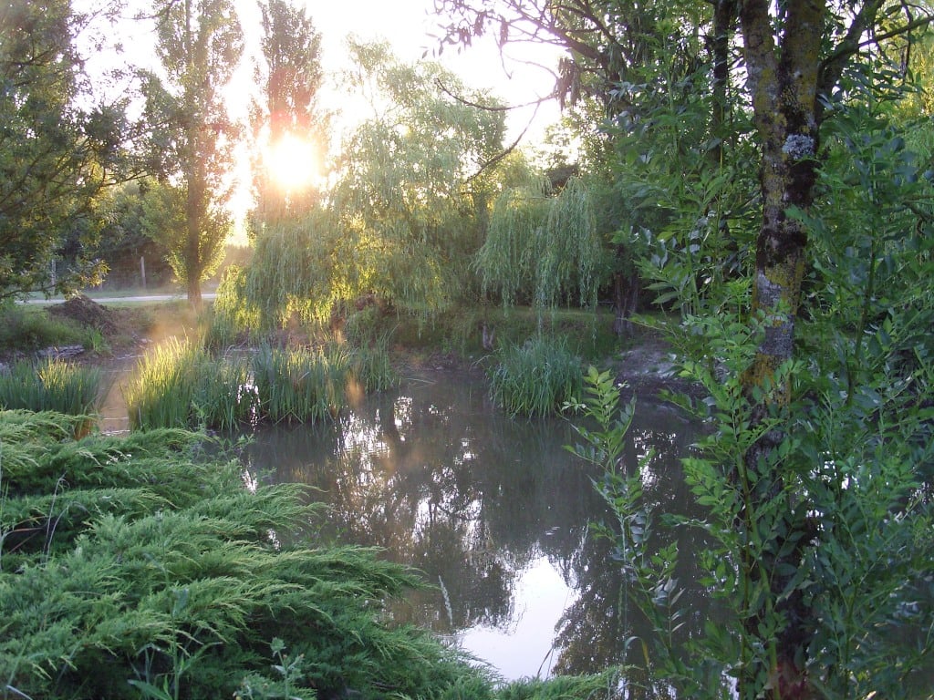 Levez de soleil sur la mare sainte megrine