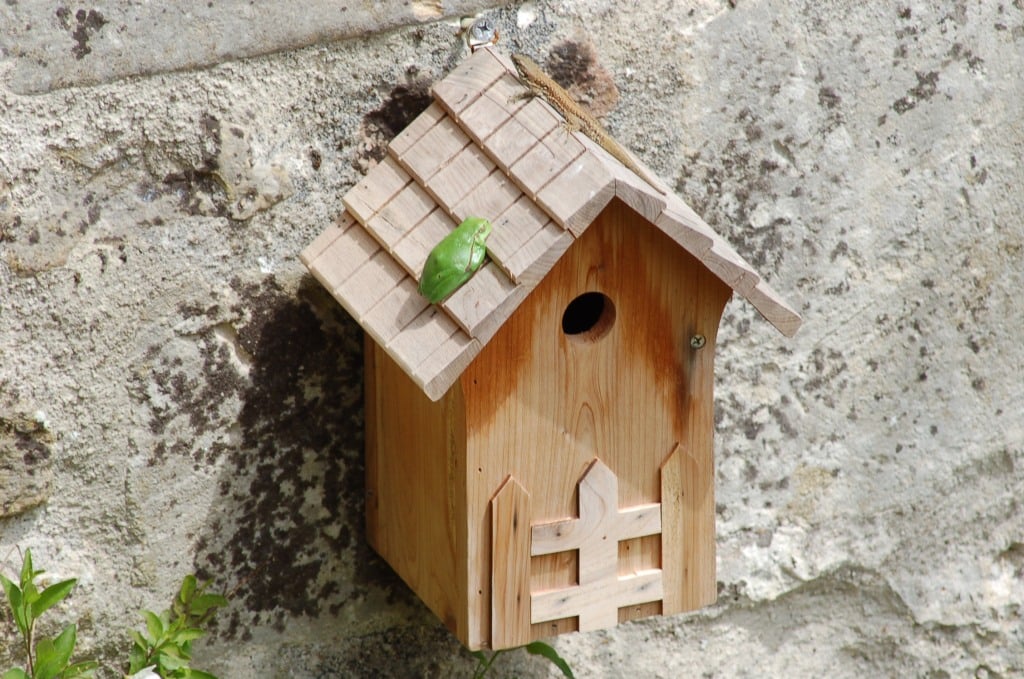 Le nichoir et solarium l'été sainte megrine