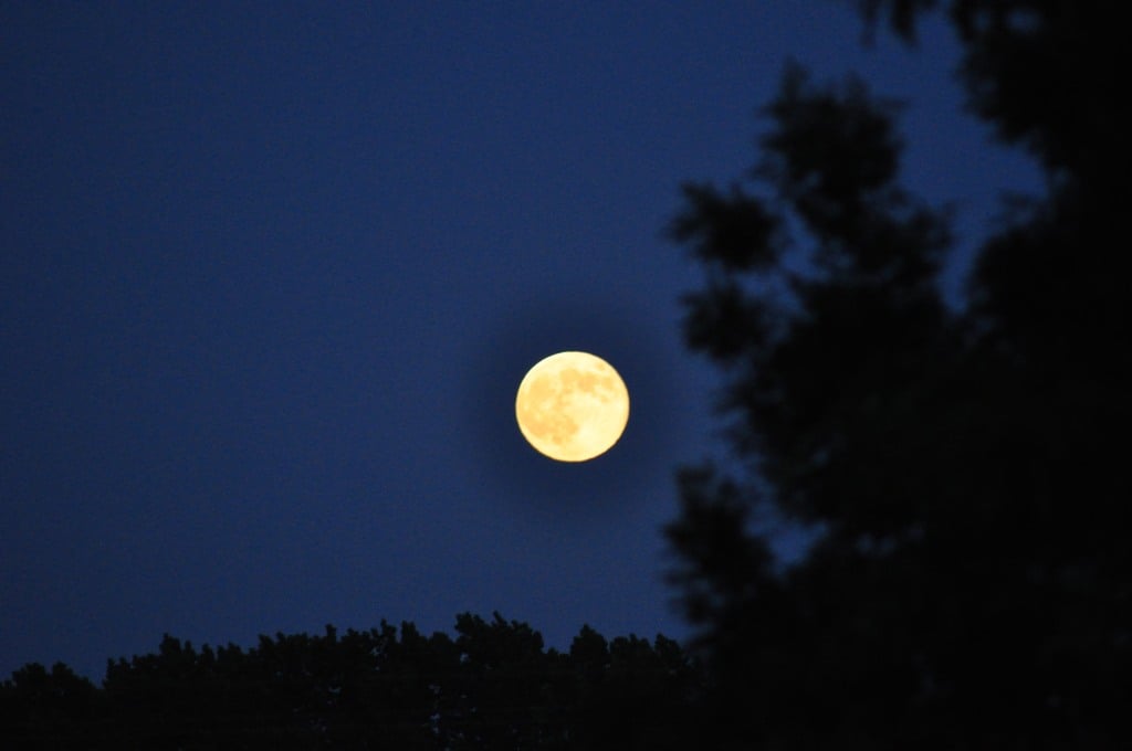 Observation de la lune est des étoiles à sainte megrine