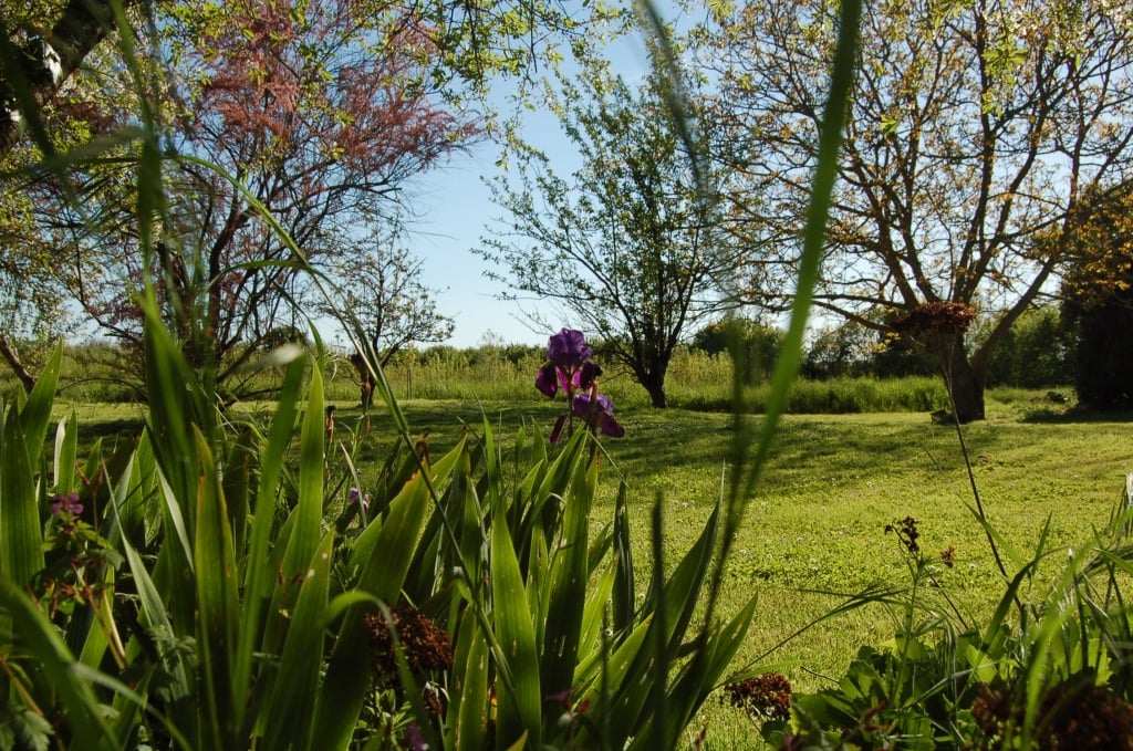 Vue imprenable jardin sainte megrine