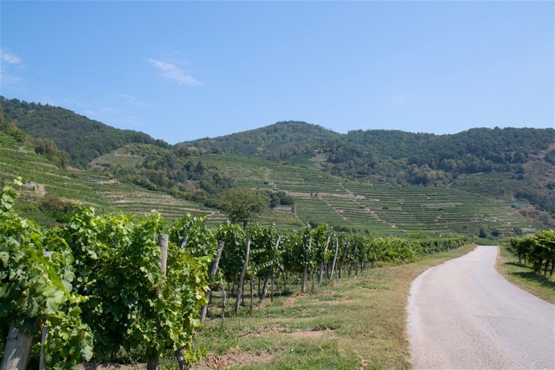 Wachau