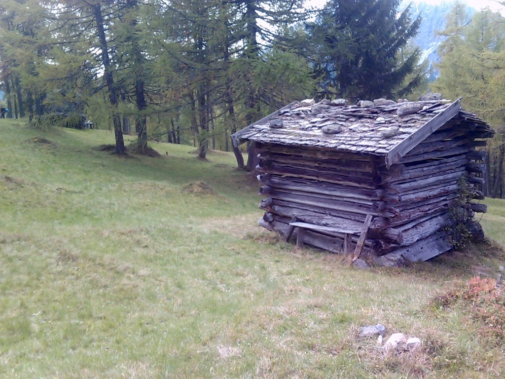 Auf der Eulenwiese Ende September II
