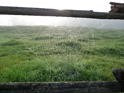 Der letzte Fang. . .