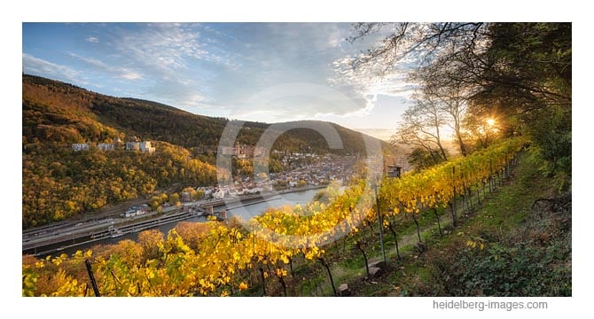 Archiv-Nr. hc2020169 | Blick über die herbstlichen Weinberge