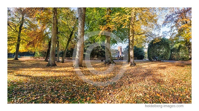 Archiv-Nr. hc2016145 | Herbststimmung am Heidelberger Schloss