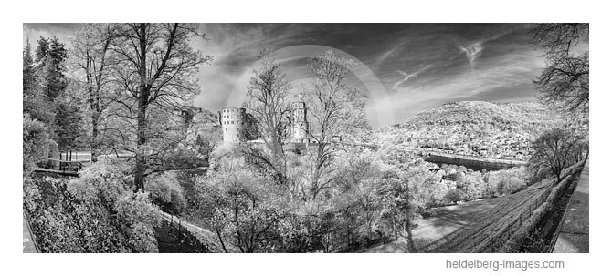 Archiv-Nr. h2015133 | Heidelberger Schloss
