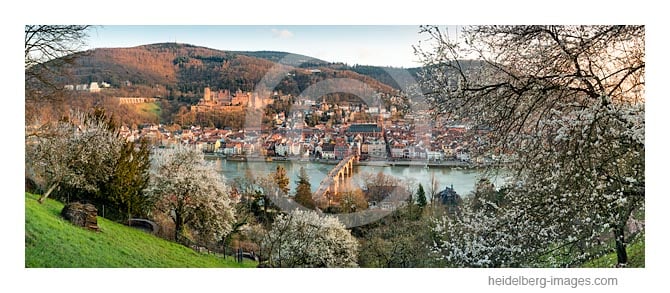 Archiv-Nr. hc2016106 | Heidelberg im Frühling