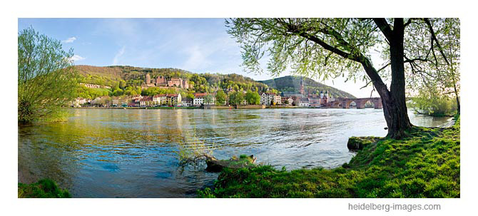 Archiv-Nr. hc2011198 | Neckarufer an der Alten Brücke