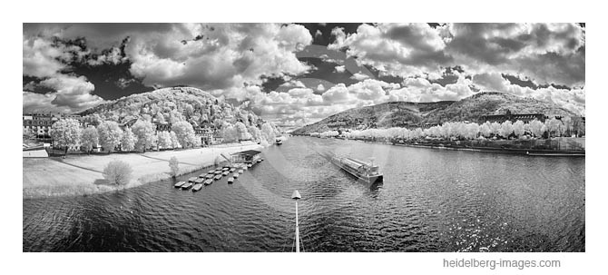 Archiv-Nr. h2015132 | Neckarufer bei Heidelberg