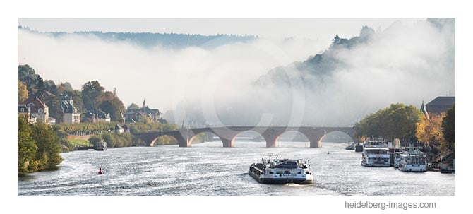 Archiv-Nr. hc2017163 | Neckarschlepper auf dem Weg ins Neckartal 