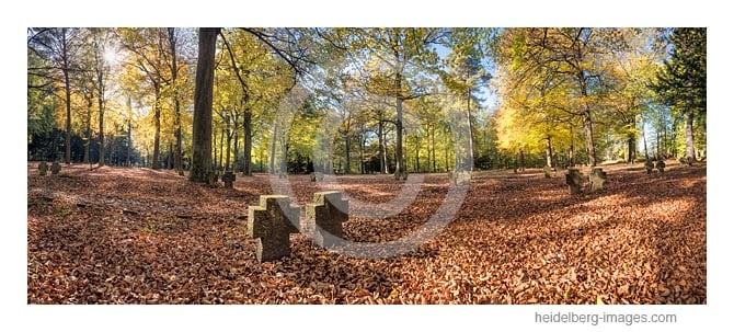 Archiv-Nr. hc2017164 | Ehrenfriedhof im Herbst 