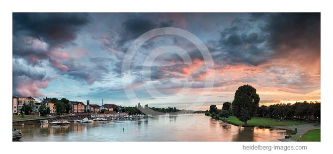 Archiv-Nr. hc2016118 | Neckarwiese im Abendlicht 