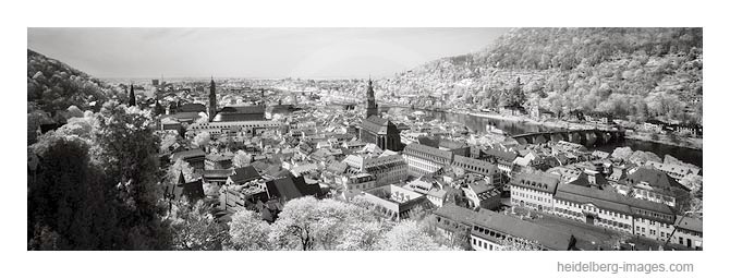 Archiv-Nr. h2006120 | Altstadtdächer 