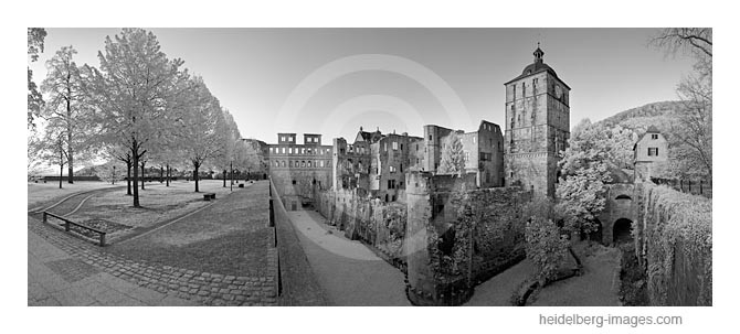 Archiv-Nr. h2011108 | Schlossruine