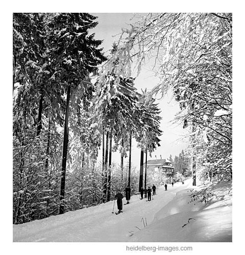 Archiv-Nr. h113/9 Skipiste vom Königstuhl bis in die Weststadt 