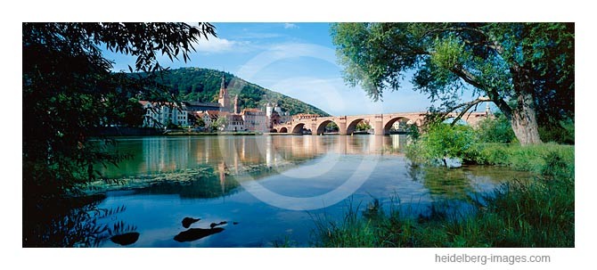 Archiv-Nr. hc2009194 | Neckarufer mit Blick auf die Alte Brücke