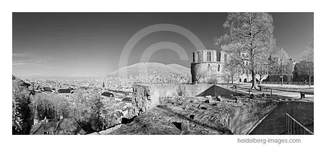 Archiv-Nr. h2012114 | Heidelberger Schloss und Altstadtblick