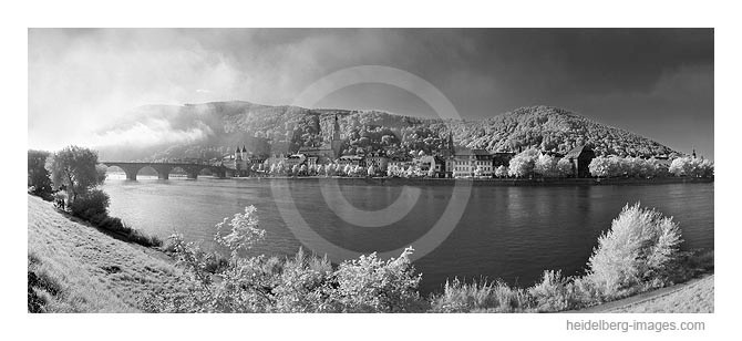 Archiv-Nr. h2000150 | Heidelberg, Altstadtansicht