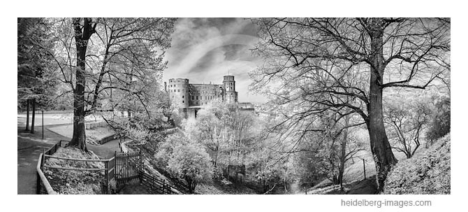 Archiv-Nr. h2015137 | Heidelberger Schloss im Frühling