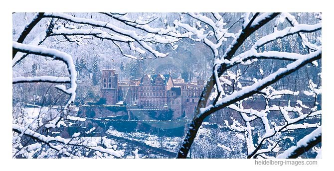 Archiv-Nr. hc96109 | verschneite Äste u. Heidelberger Schloss