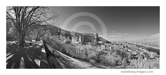 Archiv-Nr. h2012120 | Heidelberger Schloss, Altstadt und Neckar