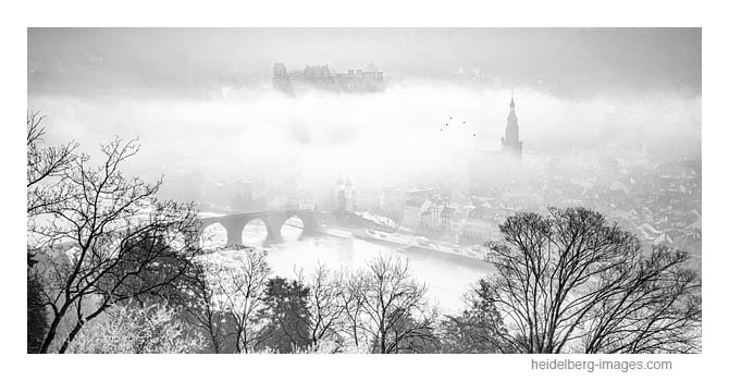 Archiv-Nr. h2020112 |  Nebliger Morgen auf dem Philosophenweg