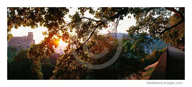 Archiv-Nr. hc2003194 | Scheffelterrasse und Schlossblick