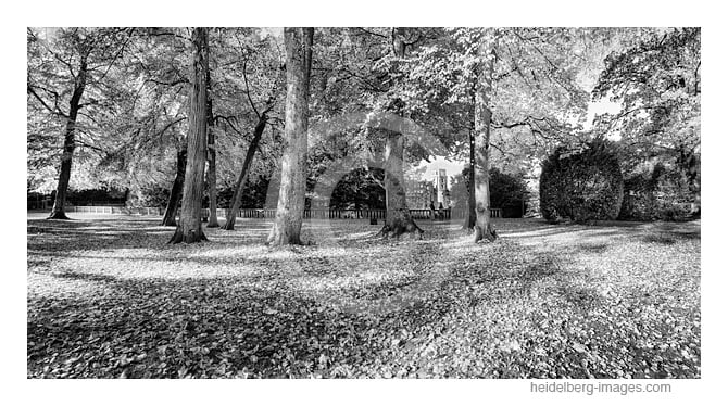 Archiv-Nr. h2016145 | Schlossterrasse im Herbstkleid