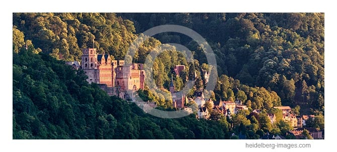 Archiv-Nr. hc2016120 | Heidelberger Schloss 