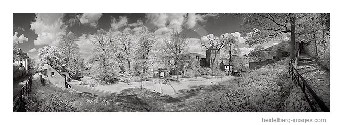 Archiv-Nr. h2010127 | Schlosshof und Elisabethentor