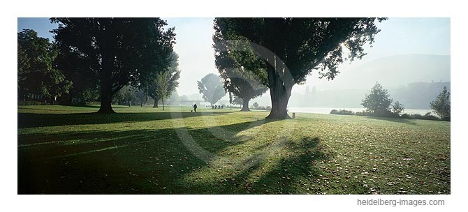 Archiv-Nr. hc2001124 | Morgenstimmung an der Neckarwiese