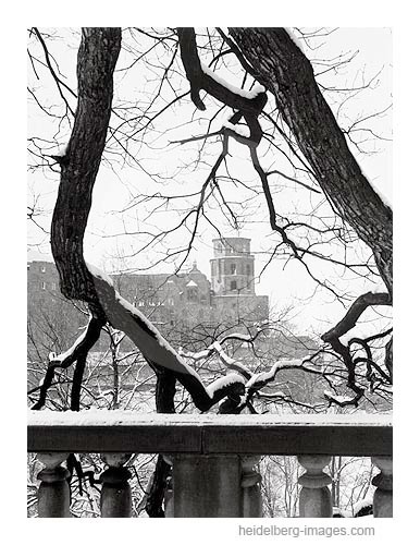 Archiv-Nr. h6503 / Verschneite Baumäste mit Sicht auf das Heidelberger Schloss 