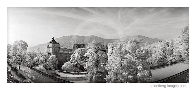 Archiv-Nr. h2008128 | Schlossgarten u. Pulverturm