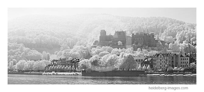 Archiv-Nr. h2012130 | Schloss u. Neckarufer