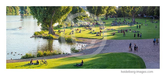 Archiv-Nr. hc2014149 | Heidelberg, Neckarwiese im Sommer