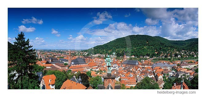 Archiv-Nr. hc2006145 | Zinnsoldat blickt über Heidelberg