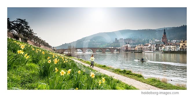 Archiv-Nr. hc2016111 | Frühling am Neckarufer 