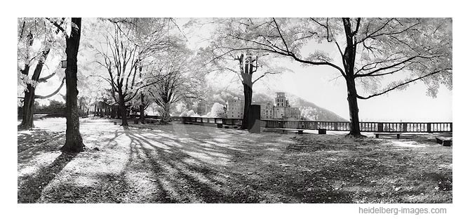 Archiv-Nr. h2003207 | Schlossterrasse