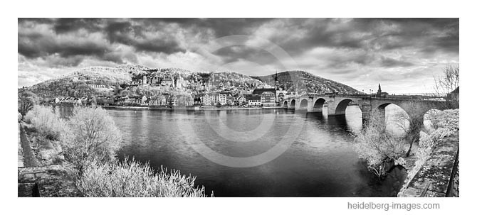 Archiv-Nr. h2014126 | Heidelberg, Altstadtansicht