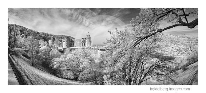 Archiv-Nr. h2015123 | Heidelberger Schloss 