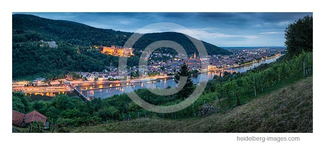 Archiv-Nr. hc2014150 | Blick über die Weinberge auf die Heidelberger Altstadt u. Schloss