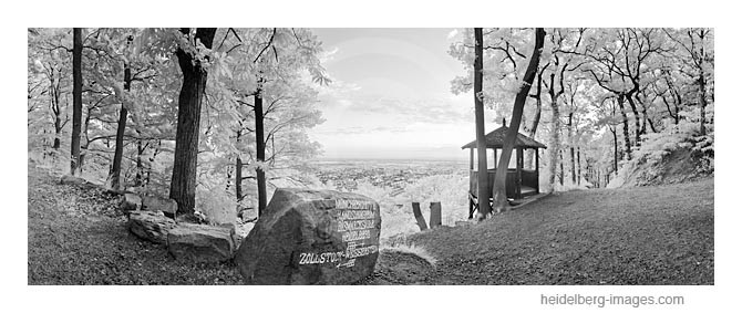 Archiv-Nr. h2011115 | Fuchsrondel