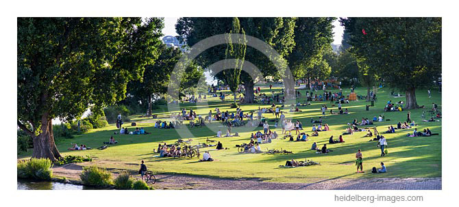 Archiv-Nr. hc2012141 | Neckarwiese