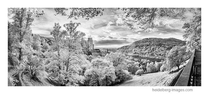 Archiv-Nr. h2013163 | Scheffelterrasse und Schloss