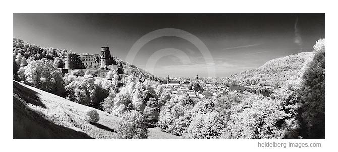 Archiv-Nr. h98111 | Heidelberger Schloss